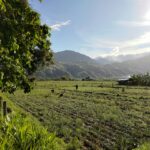 Navigating the 2026 Polycrisis: A Data-Driven Risk  Management Framework for El Niño