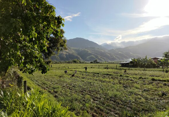 Navigating the 2026 Polycrisis: A Data-Driven Risk  Management Framework for El Niño